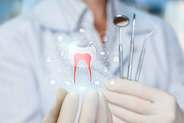 Best Emergency Dental Care  in Rushvle, IL